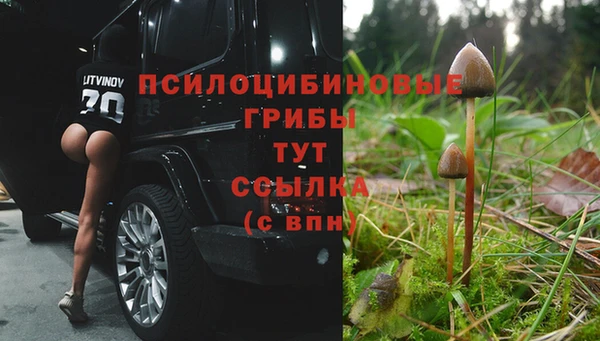 ALPHA PVP Арсеньев